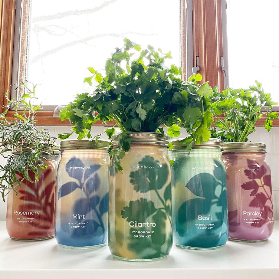Modern Sprout Garden Jars