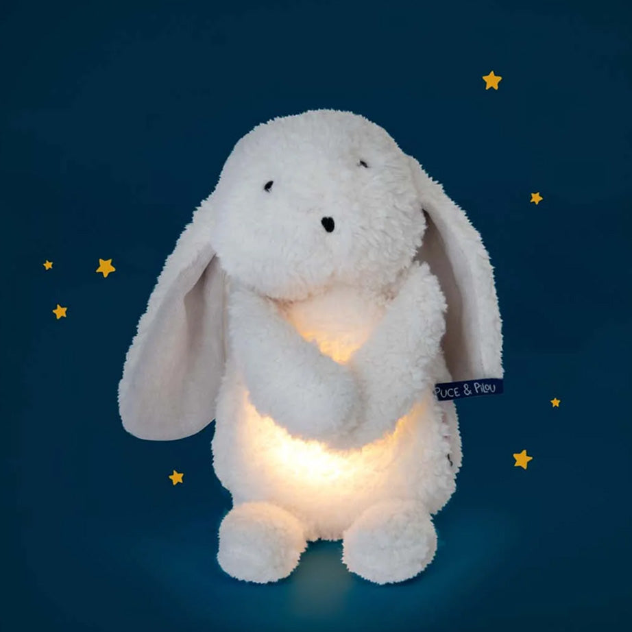 Light Up Rabbit