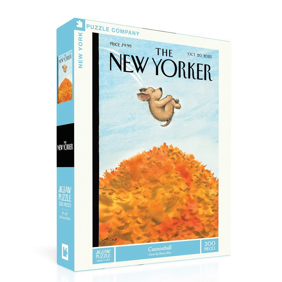 The New Yorker Magazine Cover Puzzles