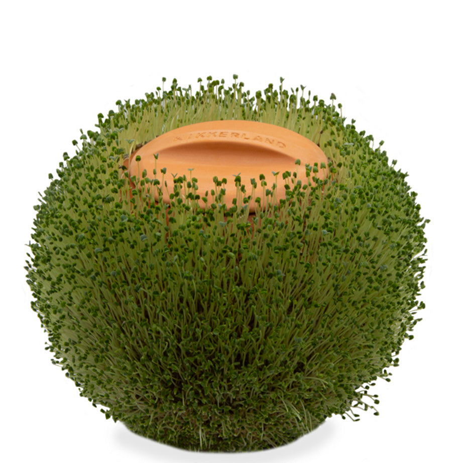 Green Orb Terracotta Planter
