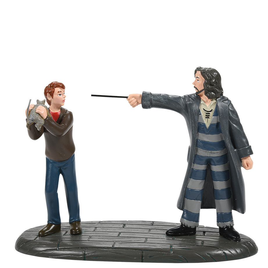 Harry Potter Village | Figurines